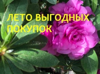 Время выгодных покупок! Время выгодных покупок!