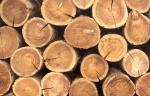 Как выбрать влагомер для древесины