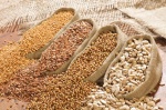 Особенности измерения влажности зерновых культур
