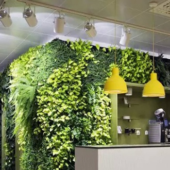 Проект «Зеленый офис» 